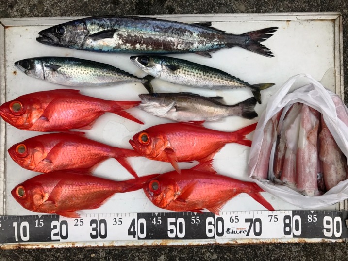 今日の釣果　キンメ・アカムツ・カマスなど