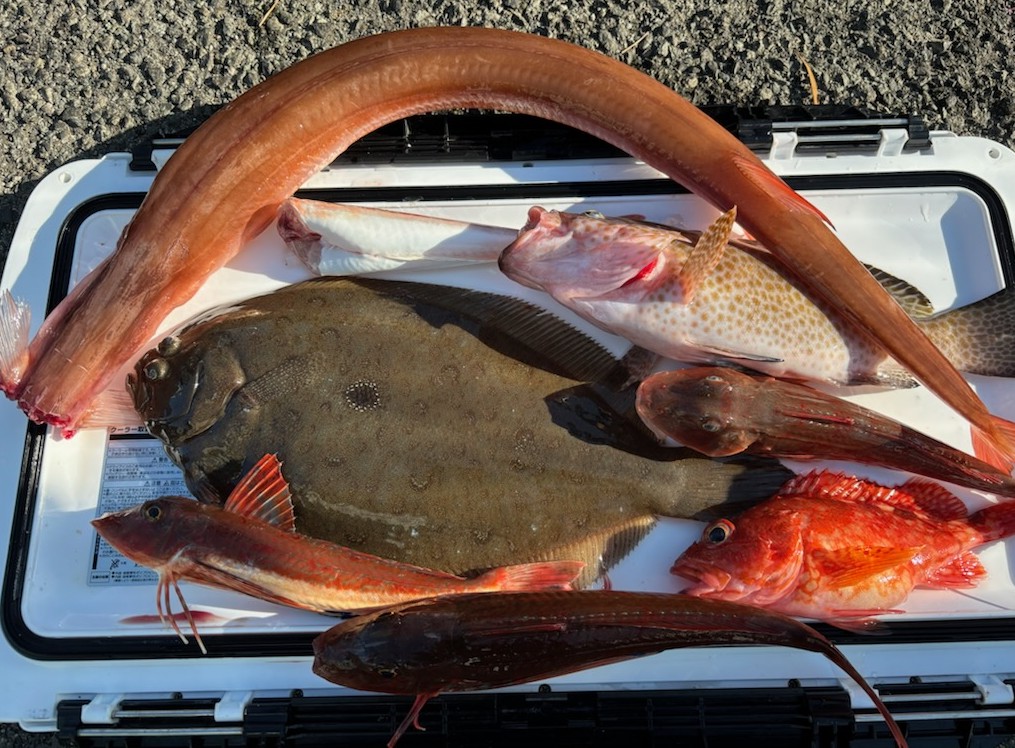 釣果情報～ガンゾウビラメ・ヤガラ他